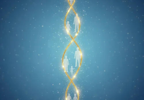 Gemini_Generated_Image_km5krnkm5krnkm5k